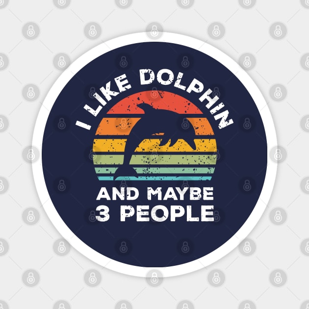 I Like Dolphin and Maybe 3 People, Retro Vintage Sunset with Style Old Grainy Grunge Texture Magnet by Ardhsells